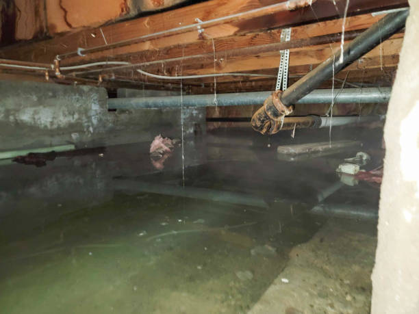 Best Water damage mitigation services  in Clanton, AL
