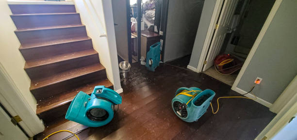 Local water damage restoration in Clanton, AL