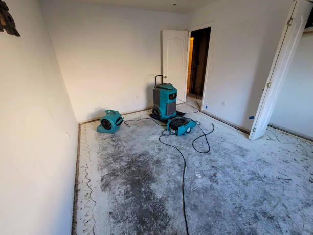 Local water damage restoration in Clanton, AL