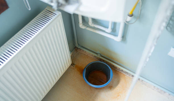Best Carpet water damage restoration  in Clanton, AL
